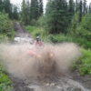 Matanuska Valley ATV