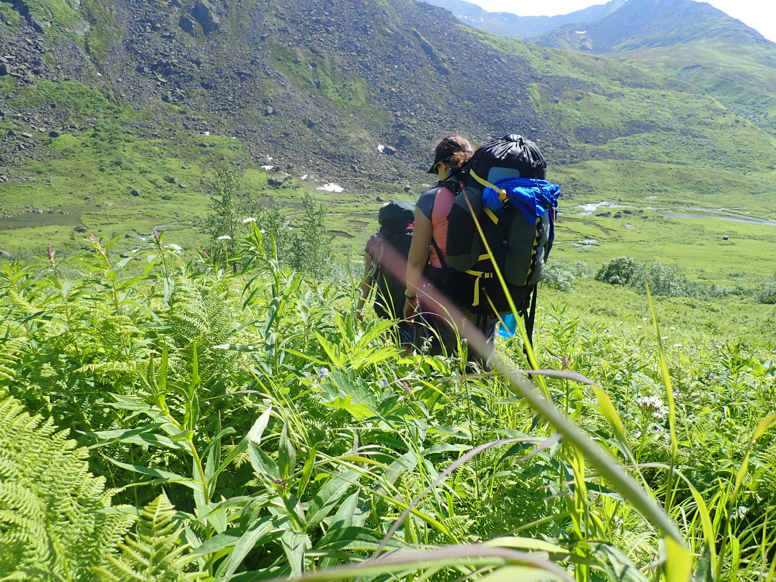 backpackers in green field