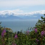 Alaskan coastlines for independent travel