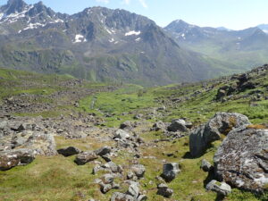 rocks in a green Alaska valley with snowy mountains