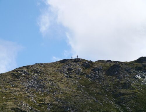 Trail Running in Alaska